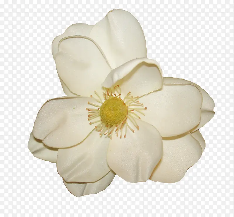 卡通鲜花图片鲜花元素