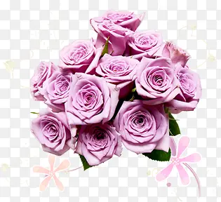 紫色玫瑰花束