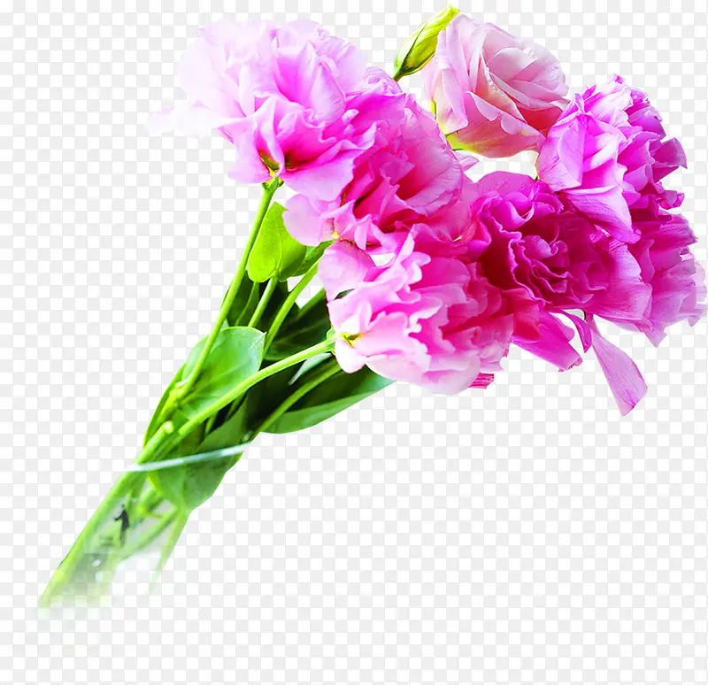 紫色手绘康乃馨花束