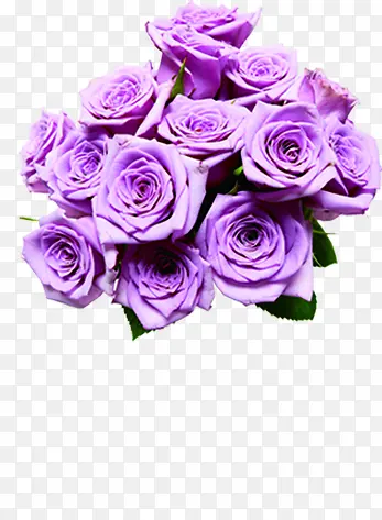 紫色鲜花玫瑰花束