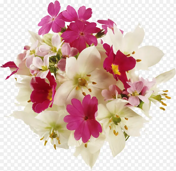 唯美盛开鲜花花束捧花