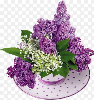 紫色花束图案
