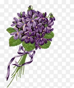手绘复古紫色花束