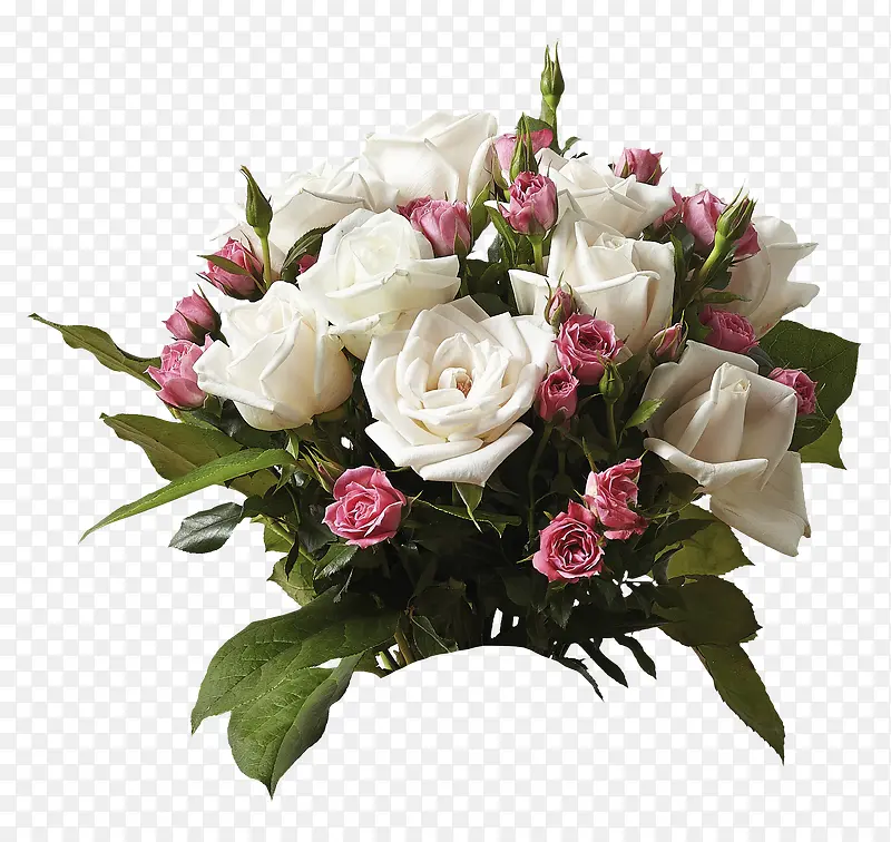 白色鲜艳的玫瑰花束