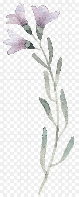 紫色花束简约随性