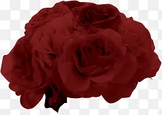 砖红绽放玫瑰花束