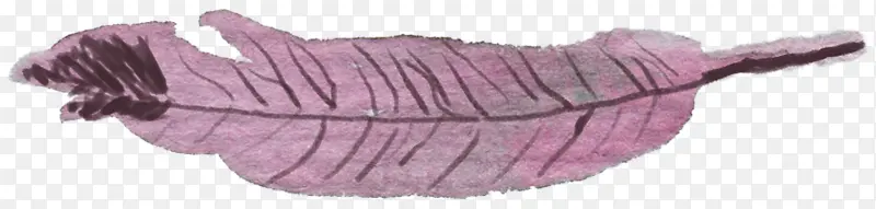 手绘粉紫色文艺羽毛