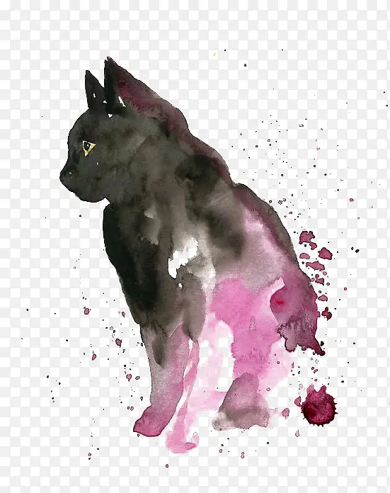 黑猫