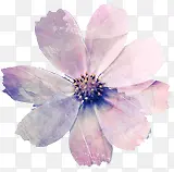 手绘紫色文艺花朵装饰