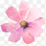 手绘粉色文艺花朵