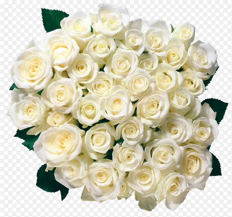 白玫瑰鲜花花束