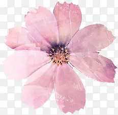 手绘粉色文艺花朵装饰