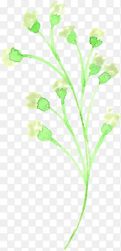 绿色手绘文艺小草小花