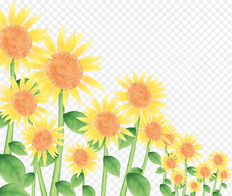 手绘黄色可爱向日葵