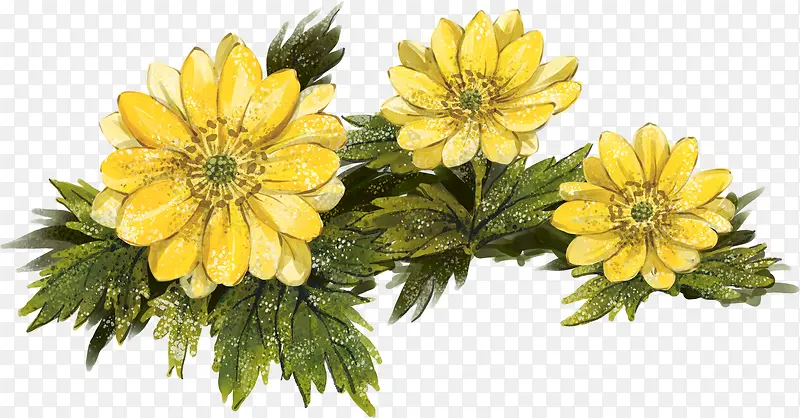 手绘黄色菊花植物
