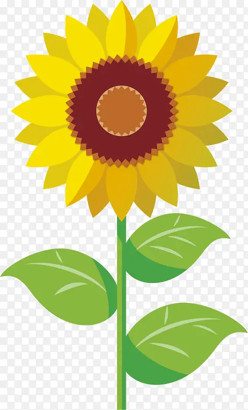 向日葵太阳花卡通手绘花黄色