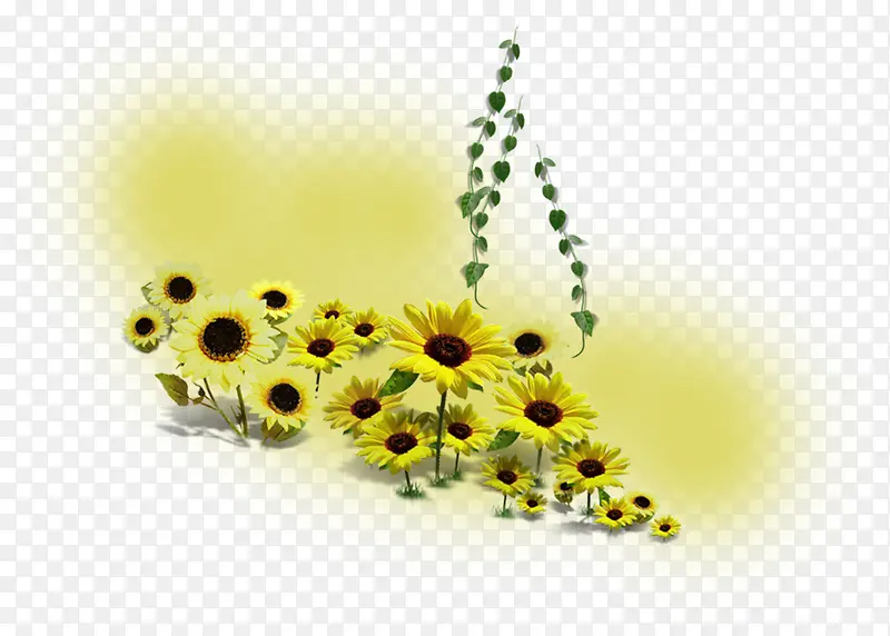 创意手绘合成黄色的向日葵