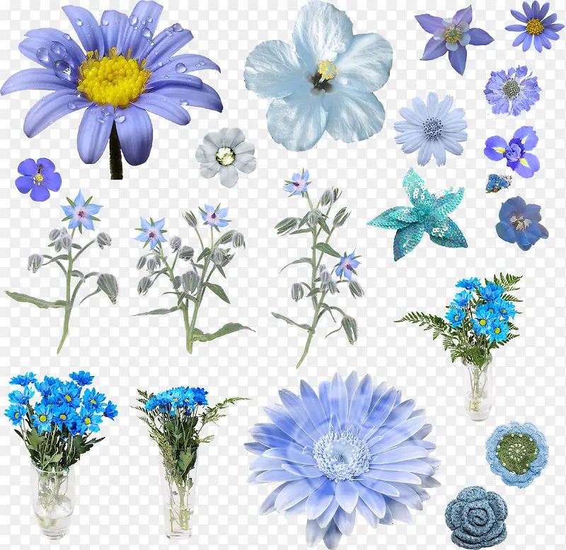 蓝色菊花展板设计