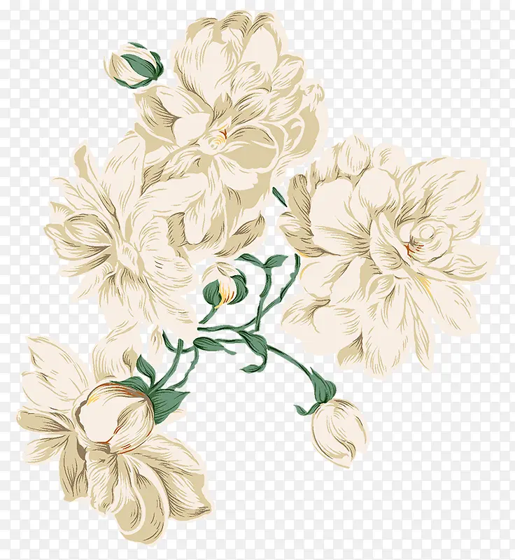 手绘合成白色的菊花效果