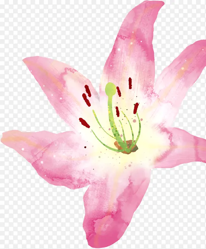 水墨粉色百合花素材