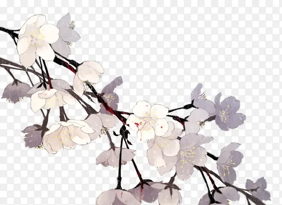 手绘花枝白色小花