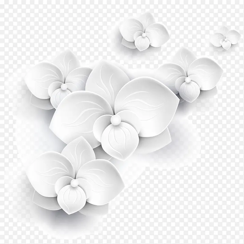 手绘白色可爱小花