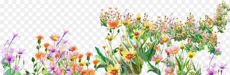 手绘花卉油画展板