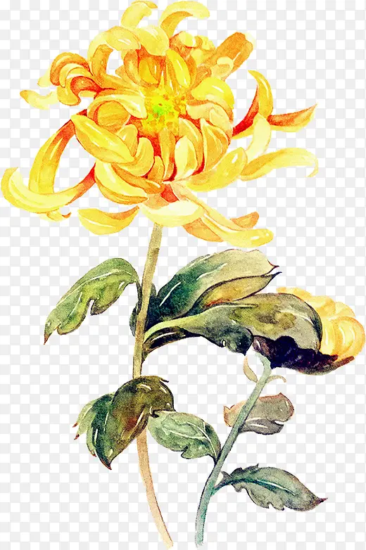 高清手绘油画花卉植物