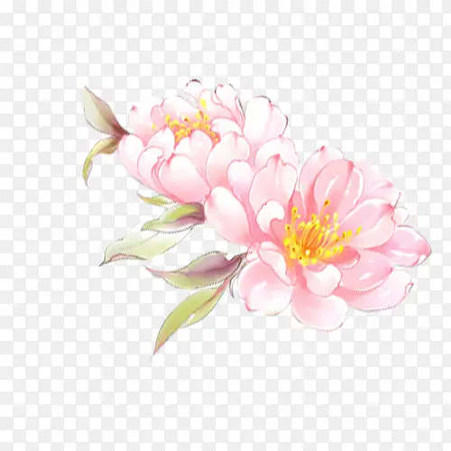 植物卡通花朵油画效果