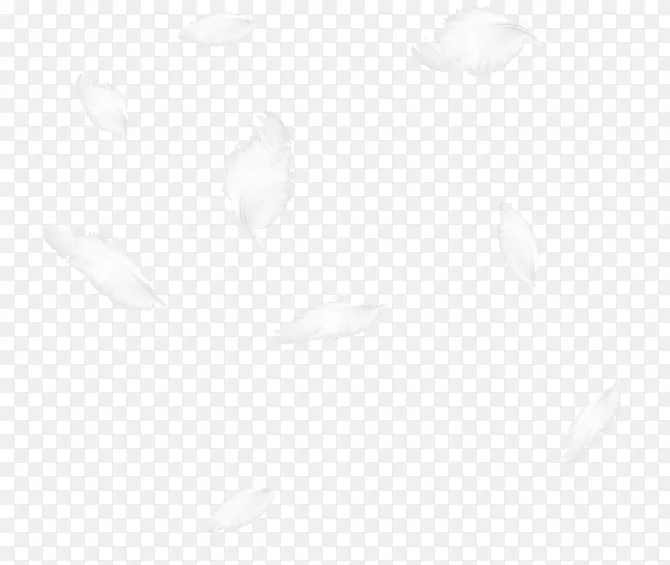 白色羽毛漂浮