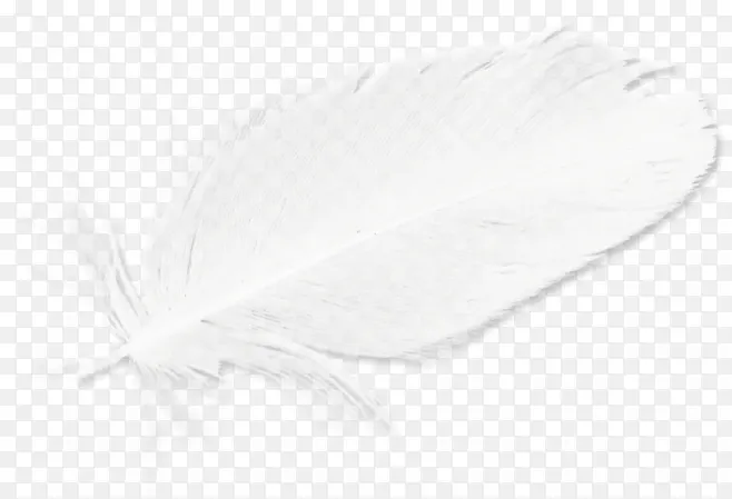 白色羽毛素材蓬松