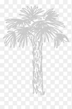 粉笔时尚手绘椰子树