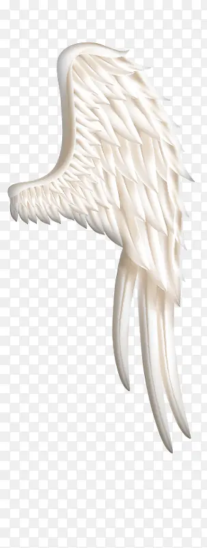 翅膀羽毛白色天使翅膀png素材