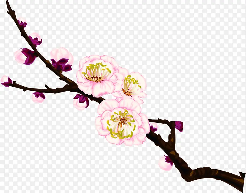 树枝粉色桃花