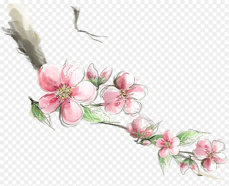 手绘粉色桃花树枝装饰