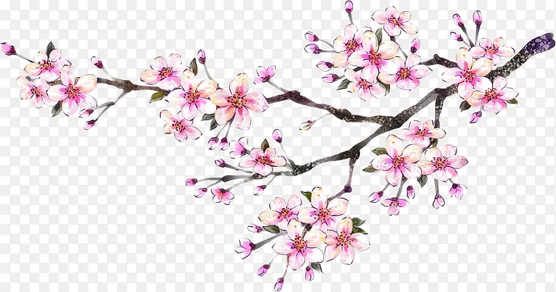 粉色桃花美景手绘