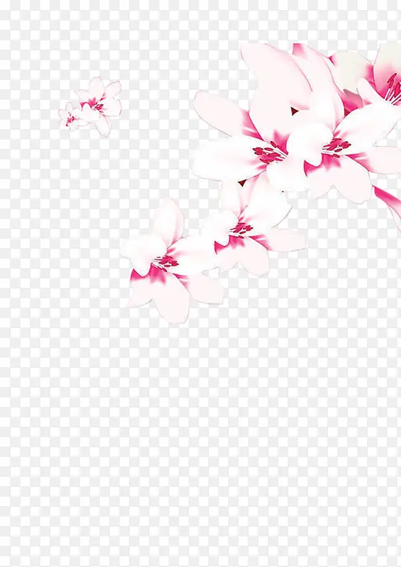 桃花花朵花枝