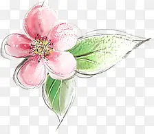 手绘古典粉色桃花植物