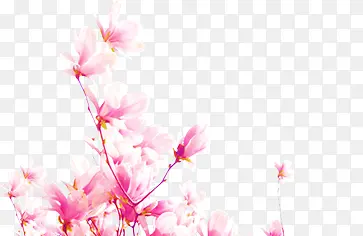 粉色水彩桃花盛开