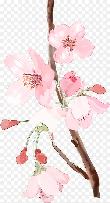 春季粉色古风桃花