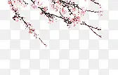 桃花花枝素材