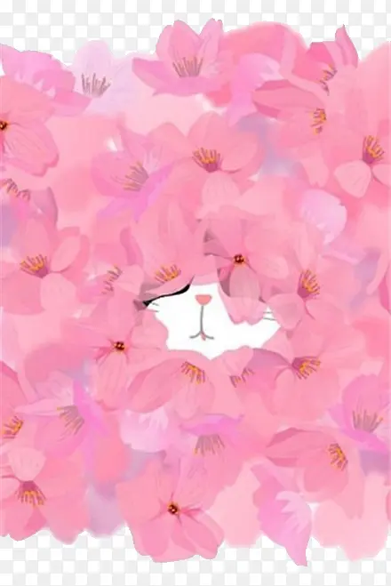 粉色桃花猫