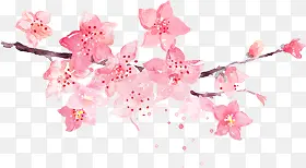 粉色创意春天桃花花开