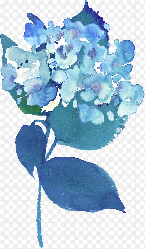 水彩植物