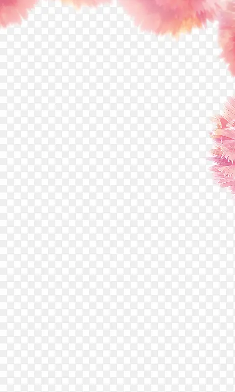 粉色康乃馨装饰边框