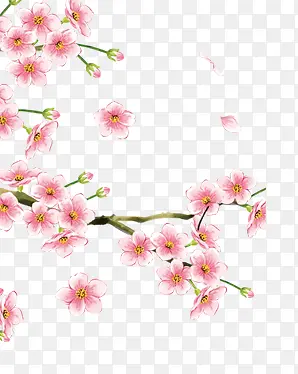 粉色小桃花手绘