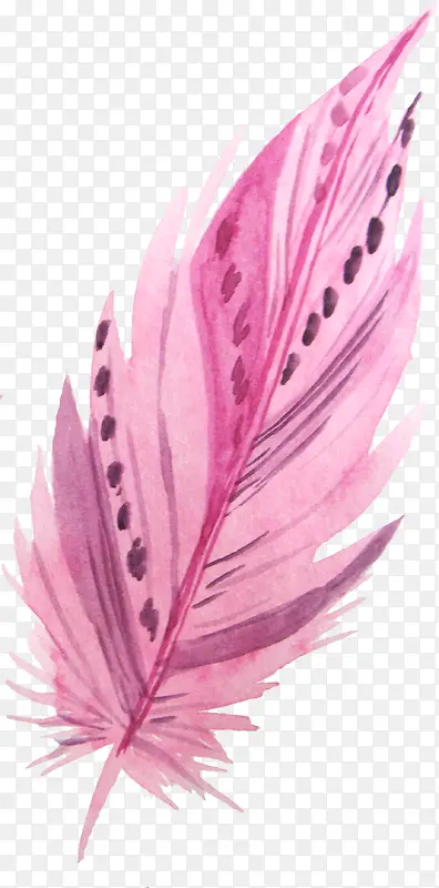 粉色花纹羽毛