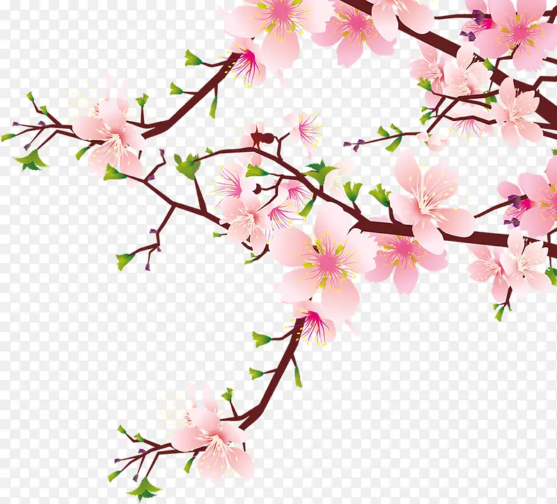 海报效果卡通桃花树枝PNG图片素材下载_图片编号yjkdwwek-免抠素材网