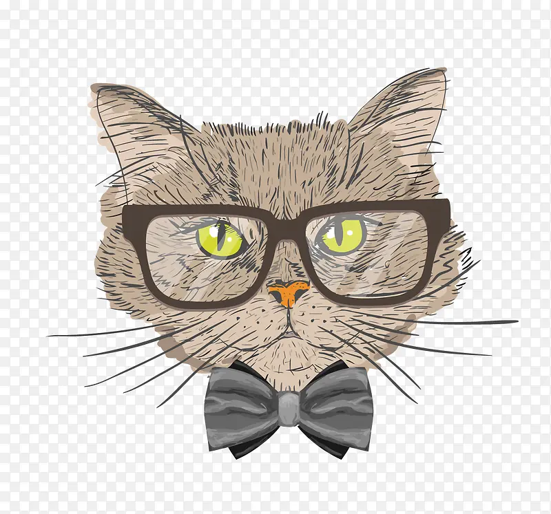 矢量猫咪