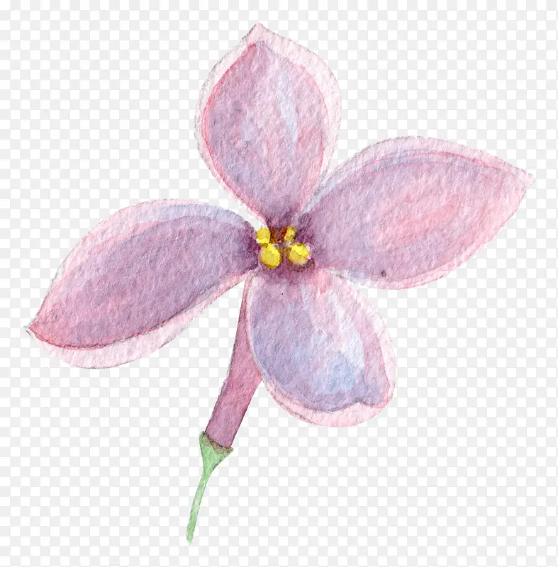 紫色的花